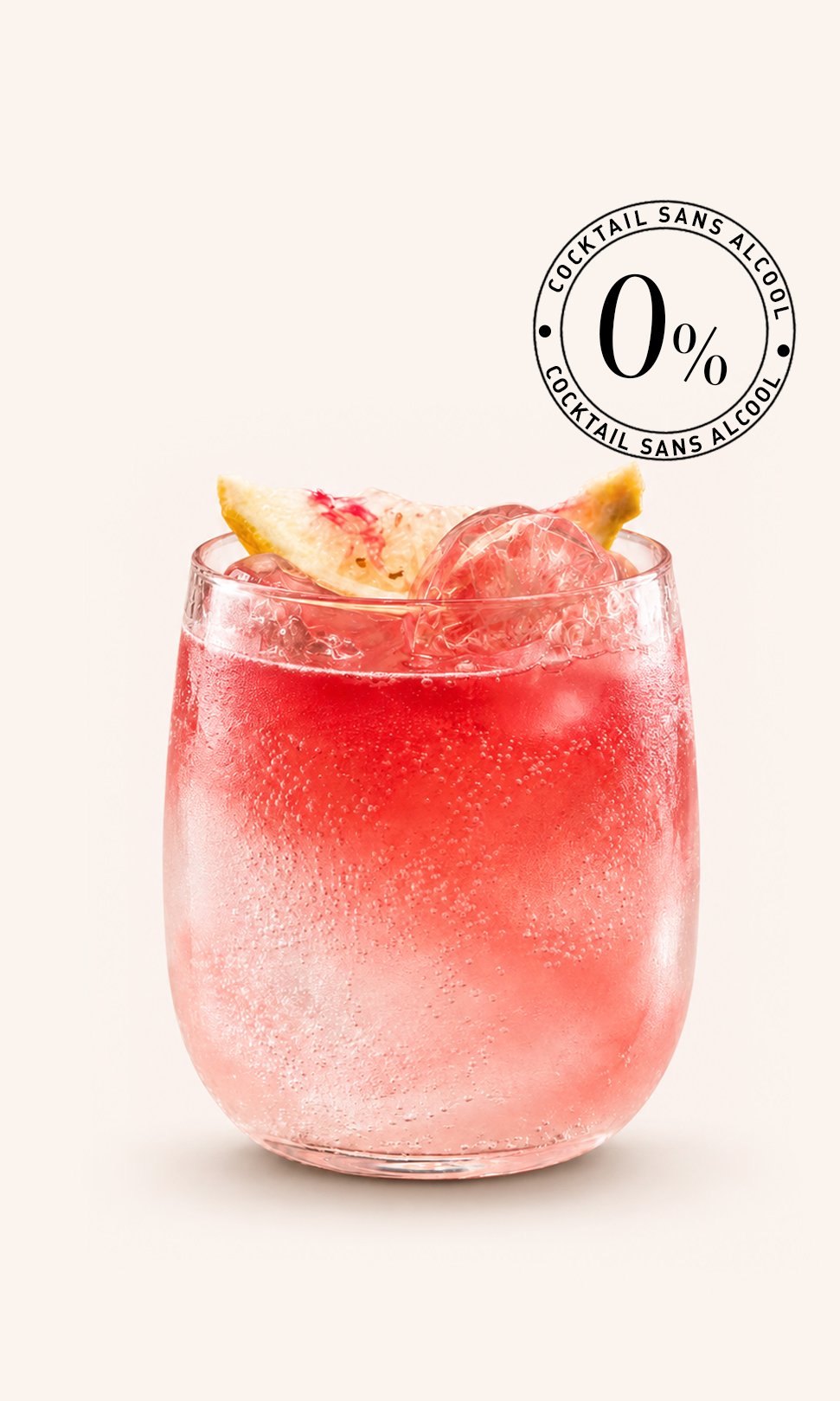 hibiscus_ivoire-1.jpg